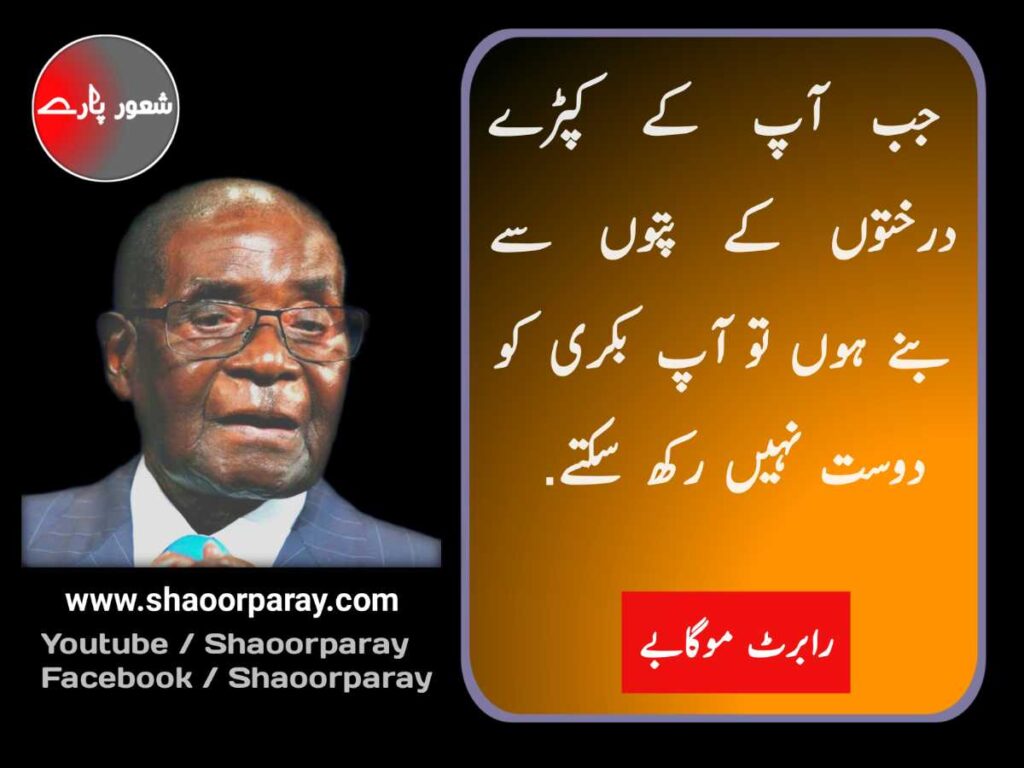 funny quotes in urdu 