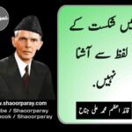 quaid e azam quotes