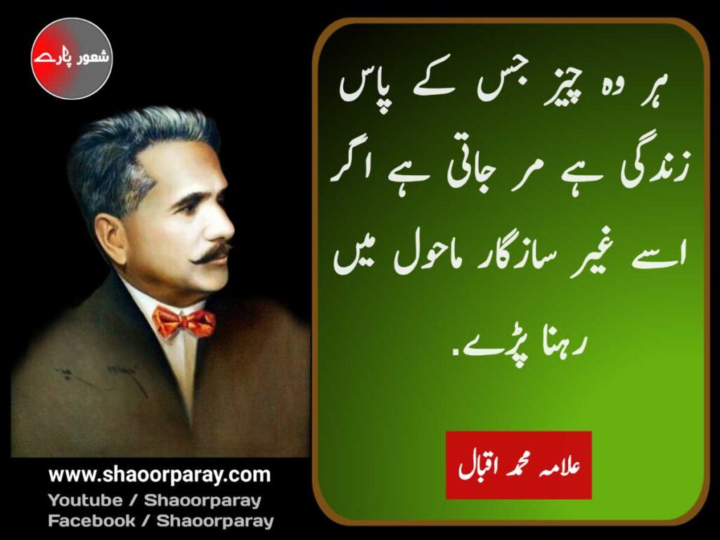 allama iqbal urdu quotes 