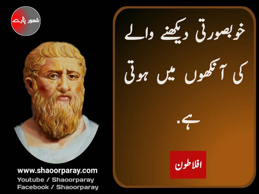 Urdu Quotes About beauty 