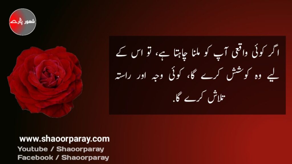 Urdu Quotes About Love 