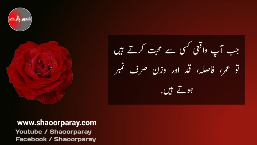 love quotes in urdu 