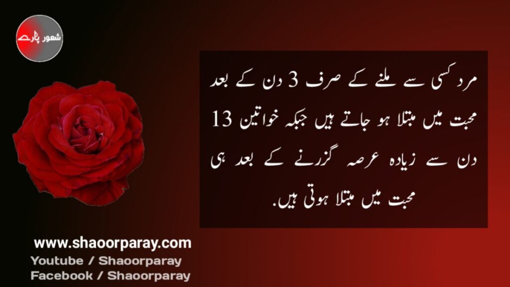 love quotes in urdu