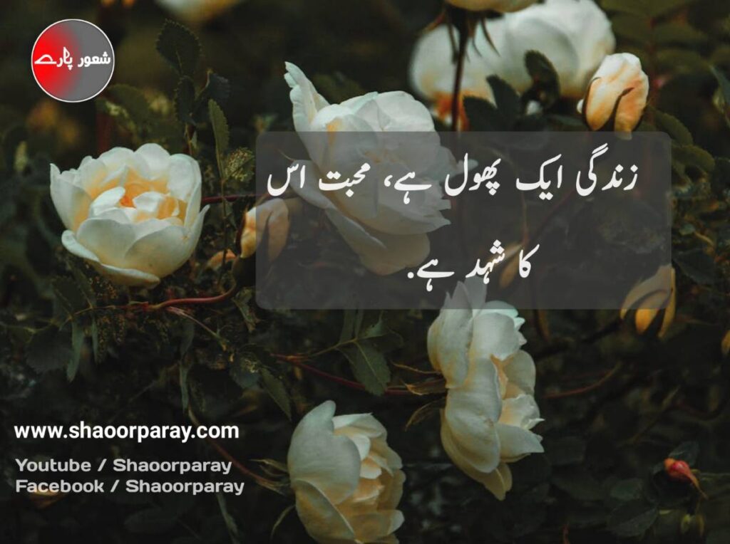 Life Quotes In Urdu