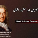 Voltaire Quotes In Urdu