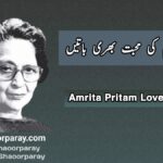 Amrita Pritam Quotes On Love